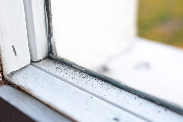 Best Residential Mold Inspection & Testing  in Parker City, IN