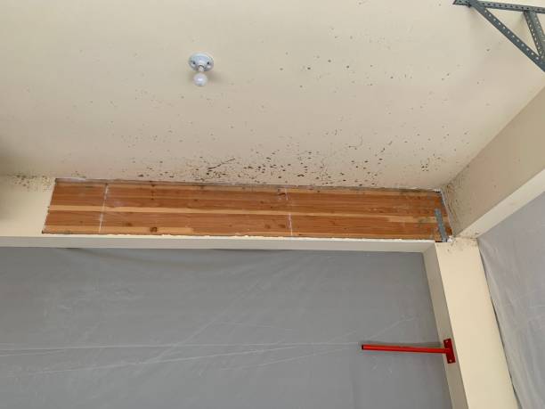 Best Residential Mold Inspection & Testing  in Parker City, IN