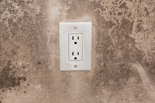 Professional Mold Removal in Parker City, IN